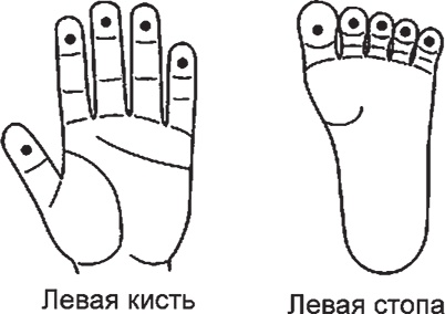 Иллюстрация к книге — Суджок - исцеляющий самомассаж. Основные приемы [autogen_ebook_id32.jpg]