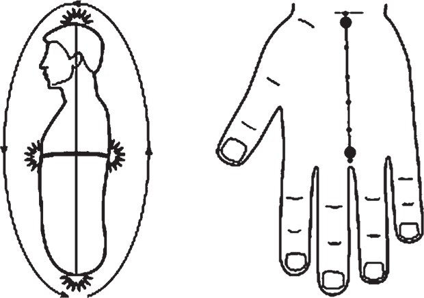 Иллюстрация к книге — Суджок - исцеляющий самомассаж. Основные приемы [autogen_ebook_id44.jpg]