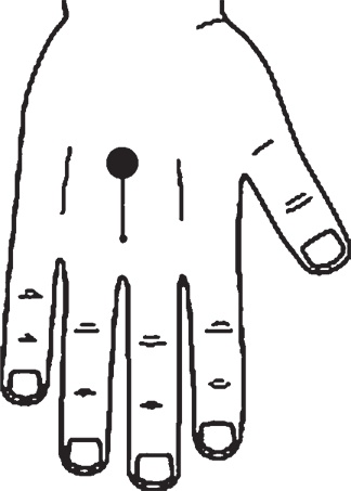 Иллюстрация к книге — Суджок - исцеляющий самомассаж. Основные приемы [autogen_ebook_id45.jpg]