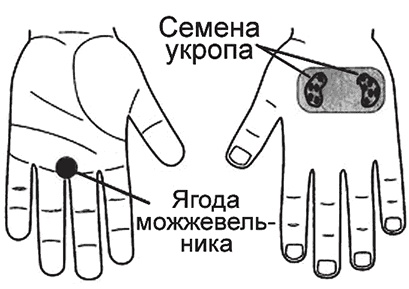 Иллюстрация к книге — Суджок - исцеляющий самомассаж. Основные приемы [autogen_ebook_id51.jpg]