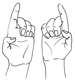 Иллюстрация к книге — Мудры. Мантры. Медитации. Основные практики [i_005.jpg]