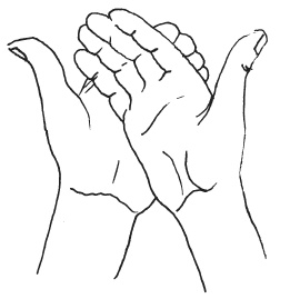 Иллюстрация к книге — Мудры. Мантры. Медитации. Основные практики [i_006.jpg]