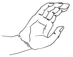 Иллюстрация к книге — Мудры. Мантры. Медитации. Основные практики [i_008.jpg]