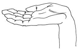 Иллюстрация к книге — Мудры. Мантры. Медитации. Основные практики [i_010.jpg]