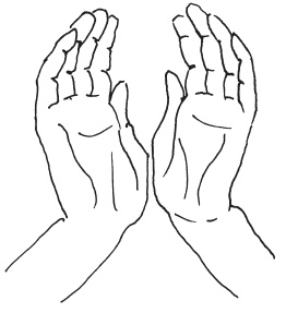 Иллюстрация к книге — Мудры. Мантры. Медитации. Основные практики [i_018.jpg]