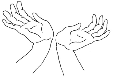 Иллюстрация к книге — Мудры. Мантры. Медитации. Основные практики [i_020.jpg]