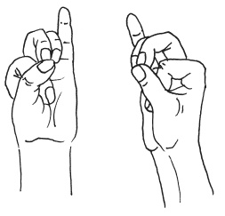 Иллюстрация к книге — Мудры. Мантры. Медитации. Основные практики [i_021.jpg]