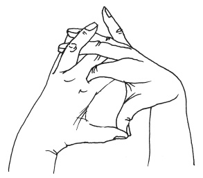 Иллюстрация к книге — Мудры. Мантры. Медитации. Основные практики [i_022.jpg]