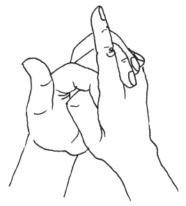 Иллюстрация к книге — Мудры. Мантры. Медитации. Основные практики [i_024.jpg]