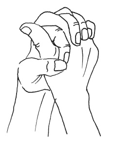 Иллюстрация к книге — Мудры. Мантры. Медитации. Основные практики [i_027.jpg]