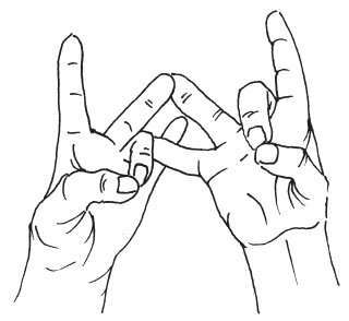 Иллюстрация к книге — Мудры. Мантры. Медитации. Основные практики [i_030.jpg]