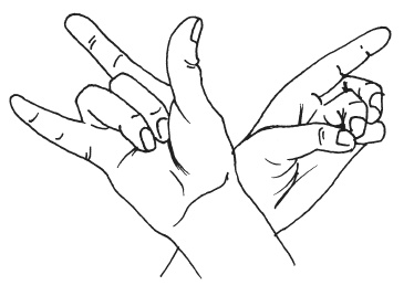 Иллюстрация к книге — Мудры. Мантры. Медитации. Основные практики [i_034.jpg]