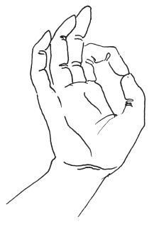 Иллюстрация к книге — Мудры. Мантры. Медитации. Основные практики [i_046.jpg]