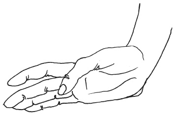 Иллюстрация к книге — Мудры. Мантры. Медитации. Основные практики [i_047.jpg]