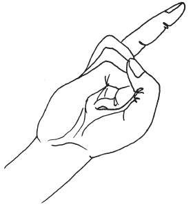 Иллюстрация к книге — Мудры. Мантры. Медитации. Основные практики [i_049.jpg]