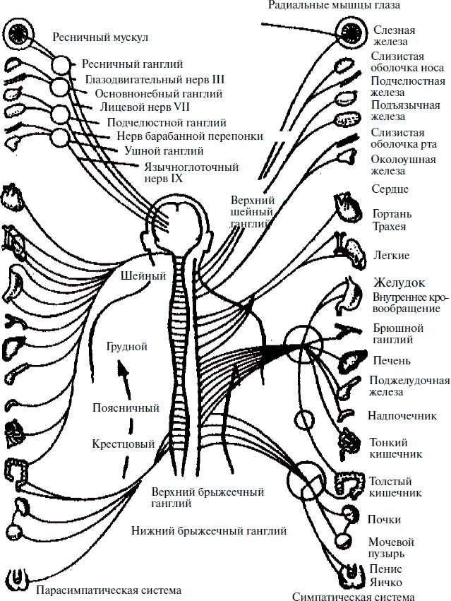 Иллюстрация к книге — Работай над собой! 12 шагов к самовосстановлению [_01.jpg]