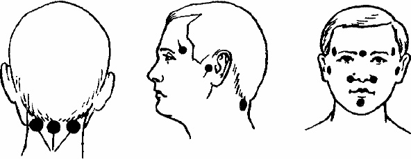 Иллюстрация к книге — Работай над собой! 12 шагов к самовосстановлению [_04.jpg]