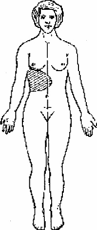 Иллюстрация к книге — Работай над собой! 12 шагов к самовосстановлению [_08.jpg]