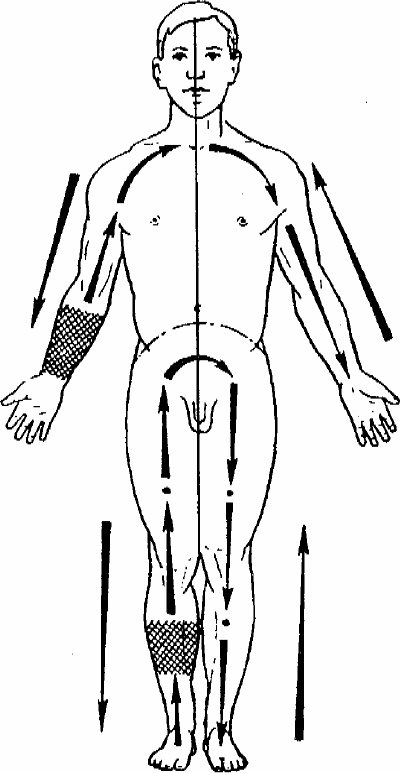 Иллюстрация к книге — Работай над собой! 12 шагов к самовосстановлению [_10.jpg]