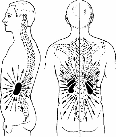 Иллюстрация к книге — Работай над собой! 12 шагов к самовосстановлению [_12.jpg]