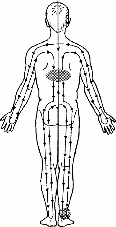 Иллюстрация к книге — Работай над собой! 12 шагов к самовосстановлению [_14.jpg]
