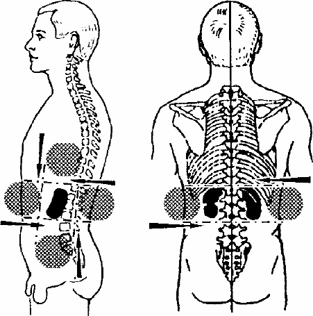 Иллюстрация к книге — Работай над собой! 12 шагов к самовосстановлению [_15.jpg]