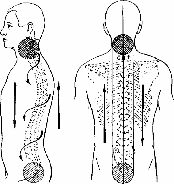 Иллюстрация к книге — Работай над собой! 12 шагов к самовосстановлению [_20.jpg]