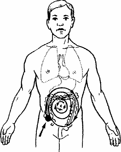 Иллюстрация к книге — Работай над собой! 12 шагов к самовосстановлению [_27.jpg]