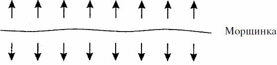 Иллюстрация к книге — Работай над собой! 12 шагов к самовосстановлению [_31.jpg]