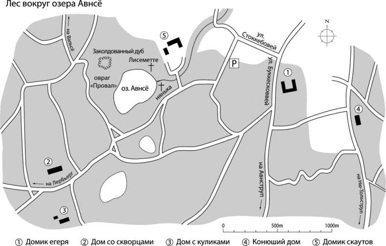 Иллюстрация к книге — Забытые [i_001.jpg]