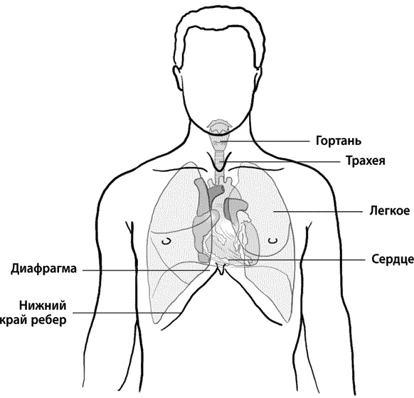 Иллюстрация к книге — Хрупкие жизни. Истории кардиохирурга о профессии, где нет места сомнениям и страху [i_001.jpg]