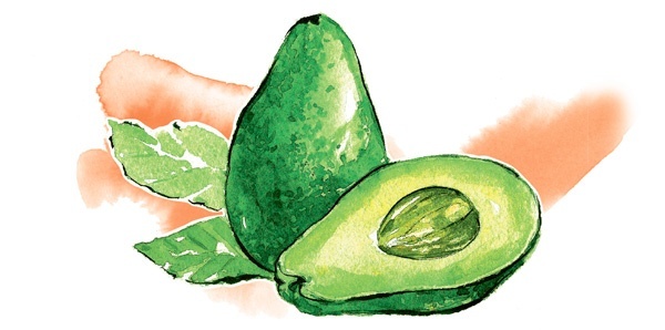 Иллюстрация к книге — Наука красоты. Из чего на самом деле состоит косметика [i_006.jpg]