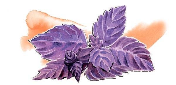 Иллюстрация к книге — Наука красоты. Из чего на самом деле состоит косметика [i_009.jpg]