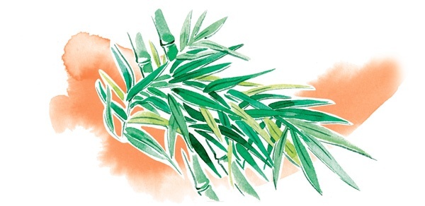 Иллюстрация к книге — Наука красоты. Из чего на самом деле состоит косметика [i_011.jpg]