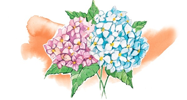 Иллюстрация к книге — Наука красоты. Из чего на самом деле состоит косметика [i_018.jpg]