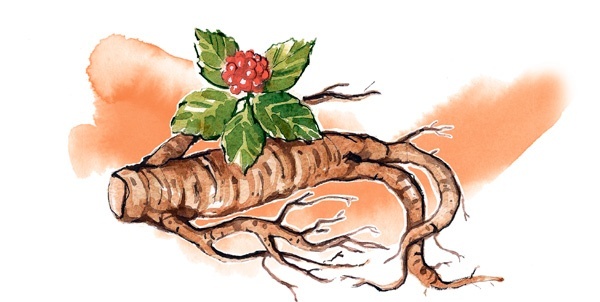 Иллюстрация к книге — Наука красоты. Из чего на самом деле состоит косметика [i_022.jpg]