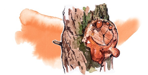 Иллюстрация к книге — Наука красоты. Из чего на самом деле состоит косметика [i_027.jpg]