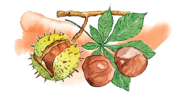 Иллюстрация к книге — Наука красоты. Из чего на самом деле состоит косметика [i_031.jpg]