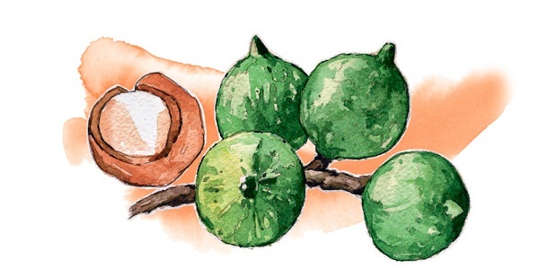 Иллюстрация к книге — Наука красоты. Из чего на самом деле состоит косметика [i_034.jpg]