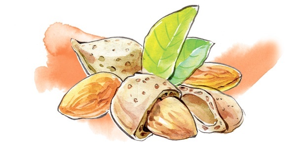 Иллюстрация к книге — Наука красоты. Из чего на самом деле состоит косметика [i_037.jpg]