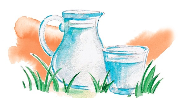 Иллюстрация к книге — Наука красоты. Из чего на самом деле состоит косметика [i_038.jpg]