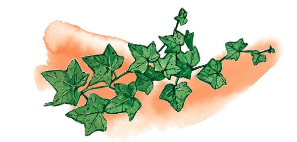 Иллюстрация к книге — Наука красоты. Из чего на самом деле состоит косметика [i_043.jpg]