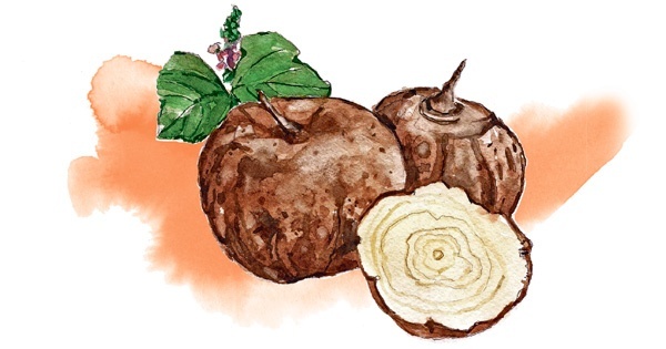 Иллюстрация к книге — Наука красоты. Из чего на самом деле состоит косметика [i_048.jpg]