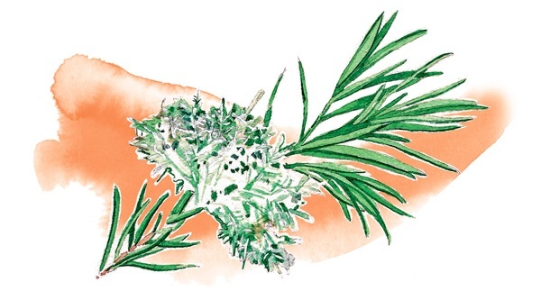 Иллюстрация к книге — Наука красоты. Из чего на самом деле состоит косметика [i_064.jpg]