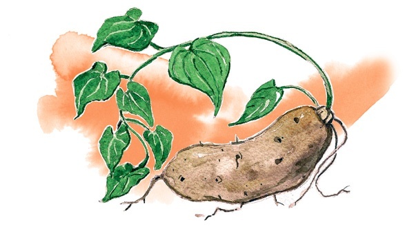 Иллюстрация к книге — Наука красоты. Из чего на самом деле состоит косметика [i_070.jpg]