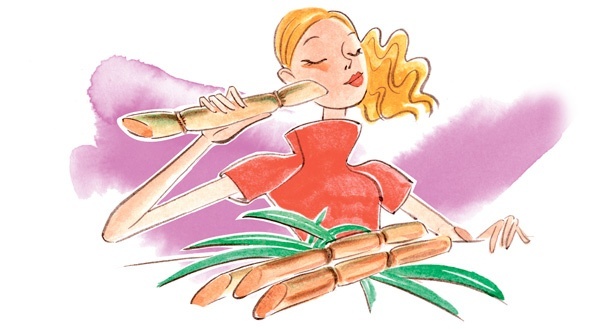 Иллюстрация к книге — Наука красоты. Из чего на самом деле состоит косметика [i_079.jpg]