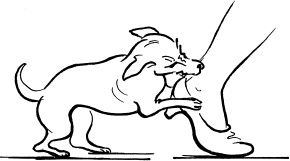 Иллюстрация к книге — Опасные родинки [autogen_ebook_id47.jpg]