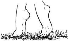 Иллюстрация к книге — Опасные родинки [autogen_ebook_id9.jpg]