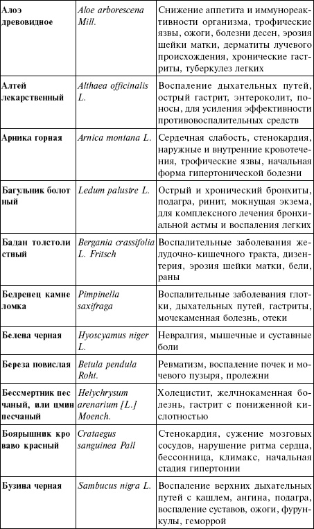 Иллюстрация к книге — Лечебные чаи, сборы, настои [img_13.jpg]