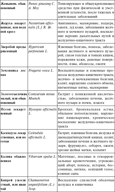 Иллюстрация к книге — Лечебные чаи, сборы, настои [img_16.jpg]